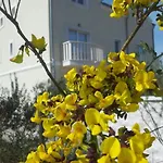 Вилла Luxury Villas Bachelors *