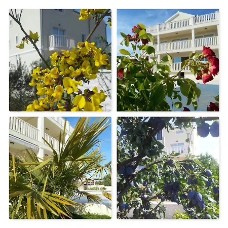 Luxury Villas Bachelors Vila