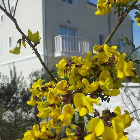 Vila Luxury Villas Bachelors *