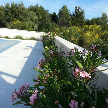 Vila Luxury Villas Bachelors *