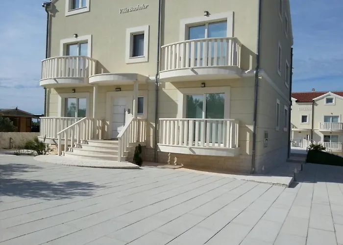 Bachelor וודיצה