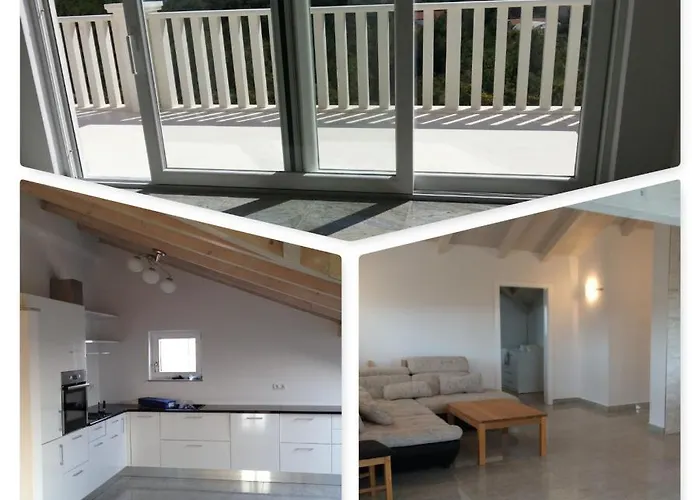 Bachelor * 沃迪切