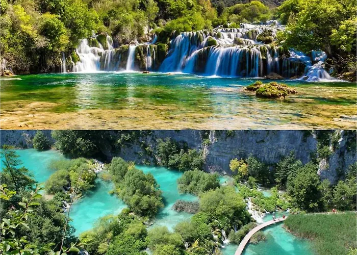 Bachelor * וודיצה